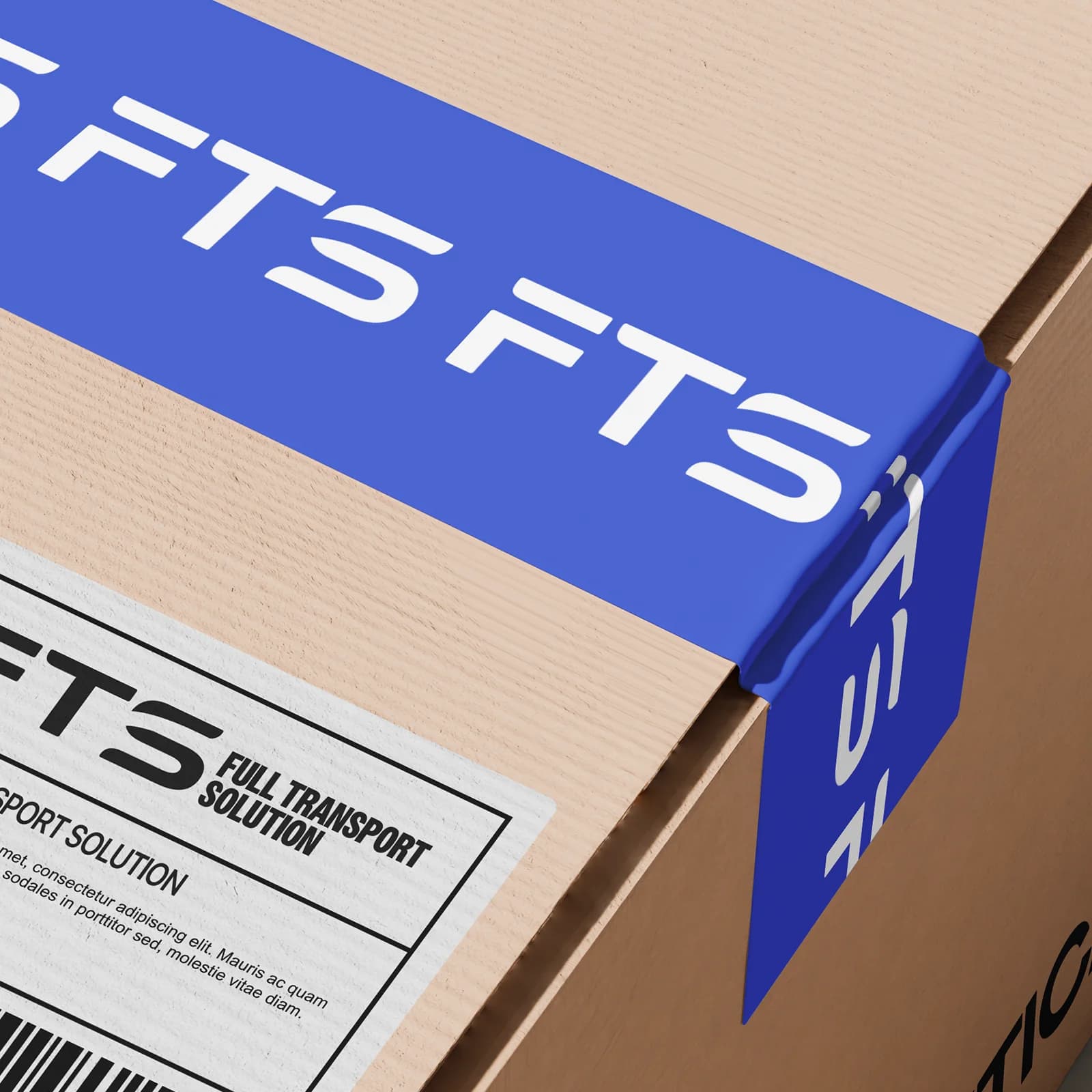 FTS: cinta de embalaje con el logotipo repetido sobre una caja